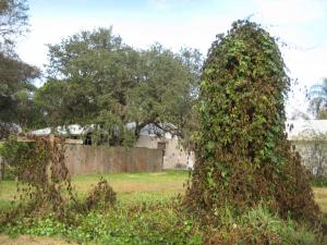 IMG_5171.jpg